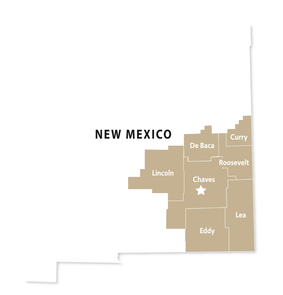 Home Inspections for Roswell Hobbs Ruidoso Carlsbad Clovis NM