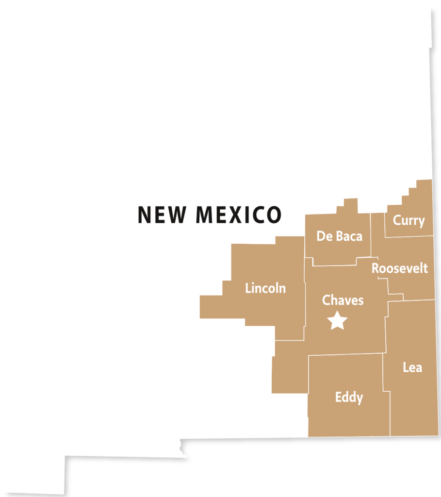 Home Inspections for Roswell Hobbs Ruidoso Carlsbad Clovis NM