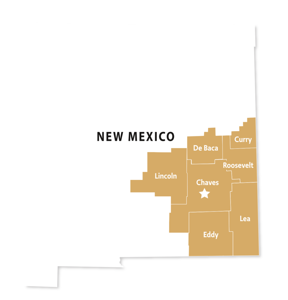 Home Inspections for Roswell Hobbs Ruidoso Carlsbad Clovis NM