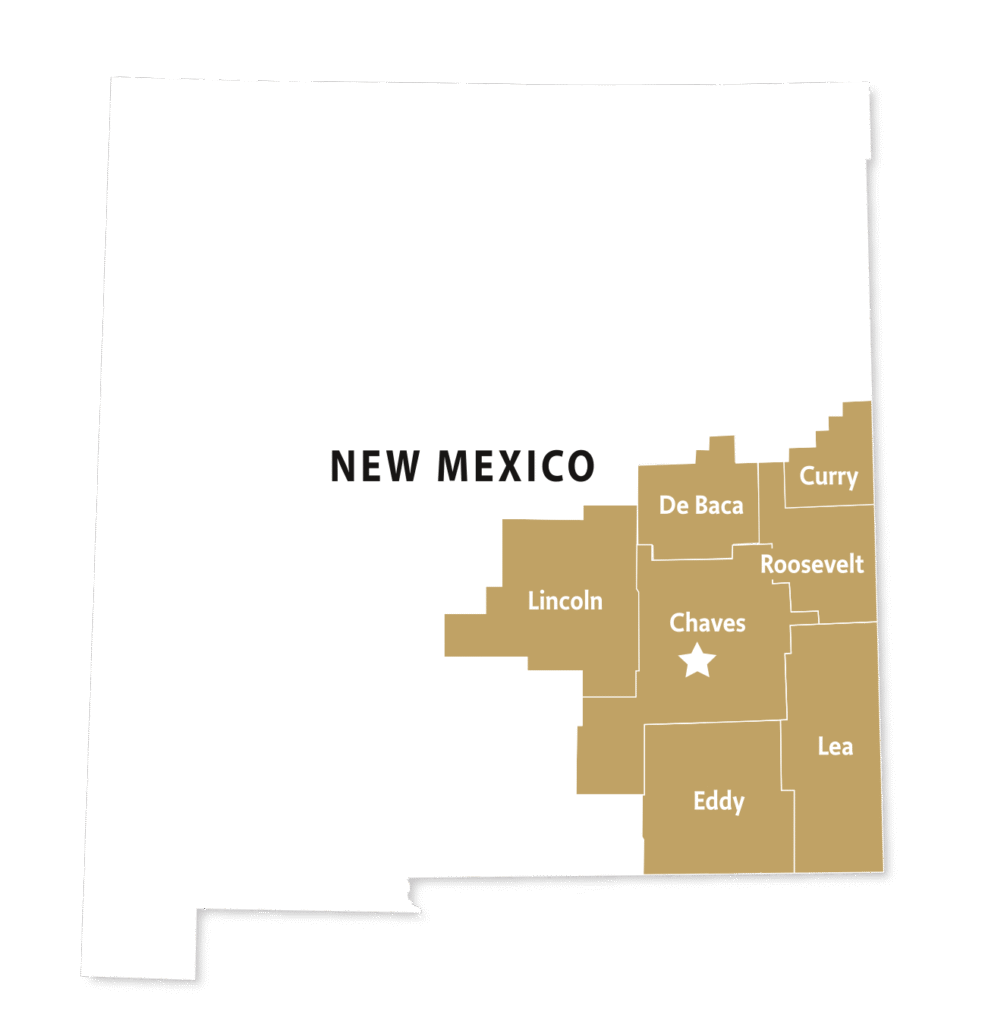 home inspector serving southeast New Mexico