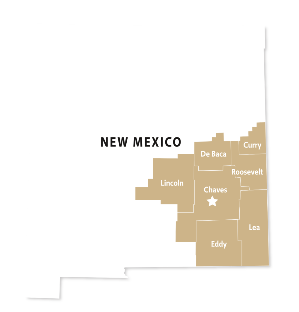 Home Inspections for Roswell Hobbs Ruidoso Carlsbad Clovis NM